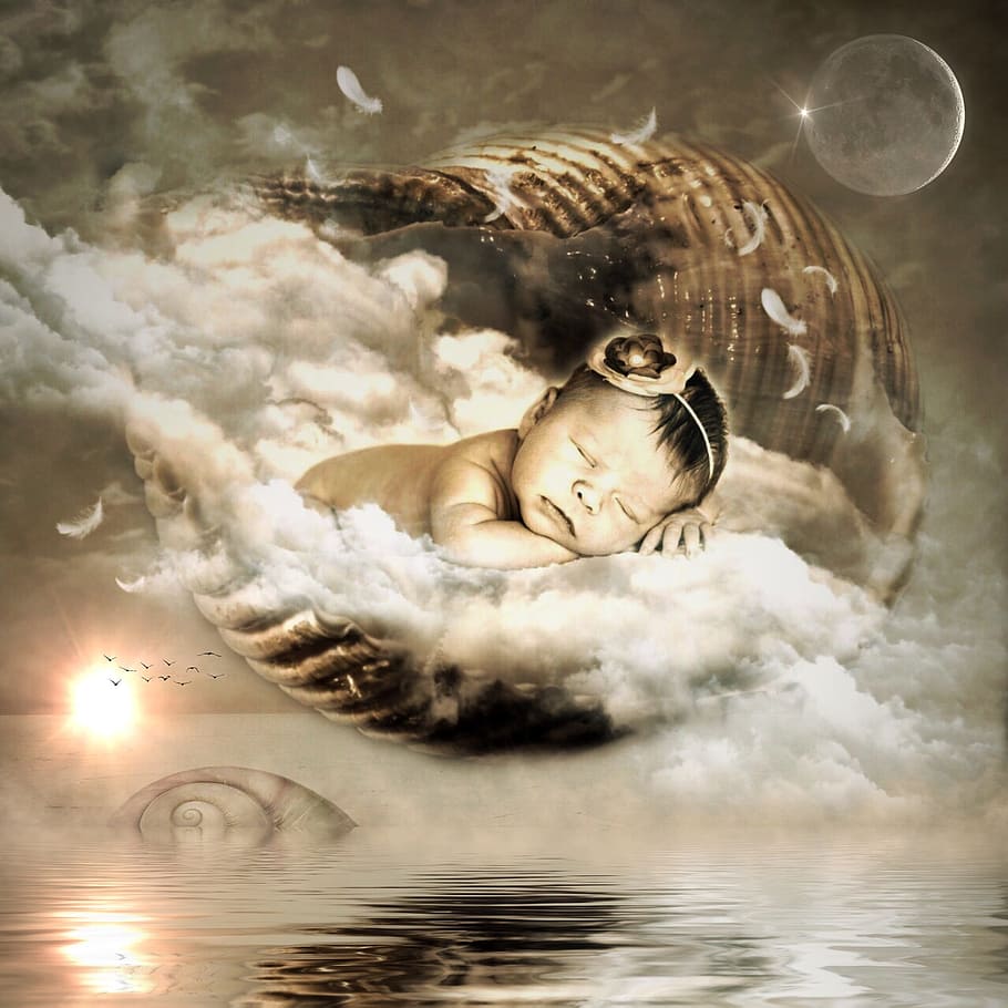 baby sleeping on cloud photo, shell, clouds, feather, sky, sun HD wallpaper
