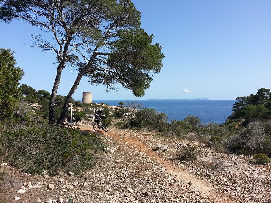 Mallorca, Cala, Pi, Pine, Mediterranean, cala pi, tower, tree HD wallpaper
