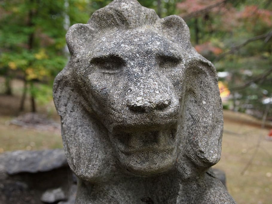 lion, stone, symbol, statue, sculpture, asia, art and craft HD wallpaper