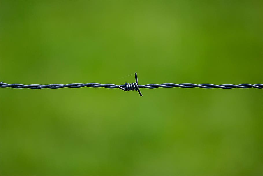 gray barb wire, security, thorn, close, fence, green, tiefenschärfe, HD wallpaper