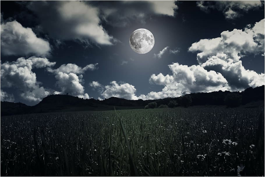 field of grass under tje moon, landscapes, night, full moon, sky