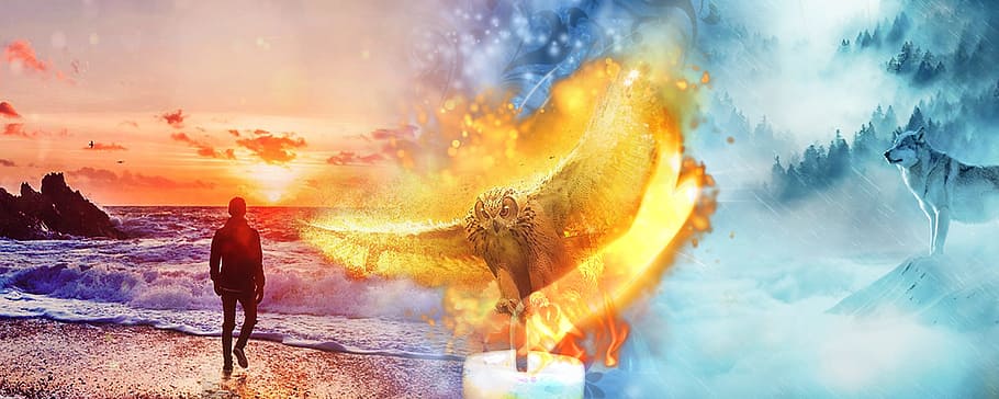 man on beach, hope, owl, candle, light, sun, sea, guy, shape HD wallpaper