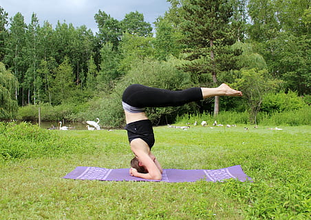 Iyengar Yoga Preparation for Headstand (Sirsasana) | Yoga Selection