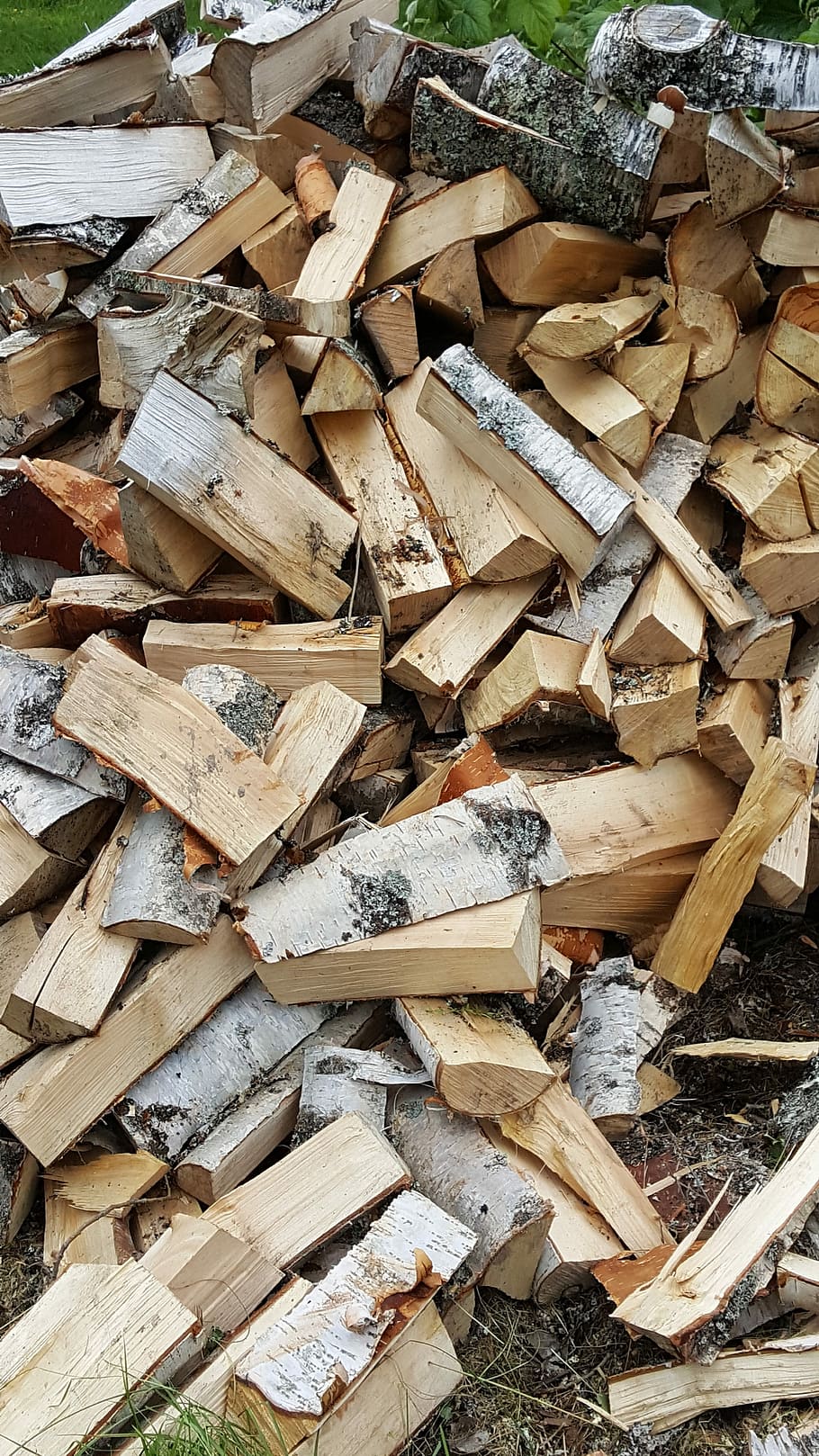 Wood, Birch, High, large group of objects, timber, stack, wood - material HD wallpaper