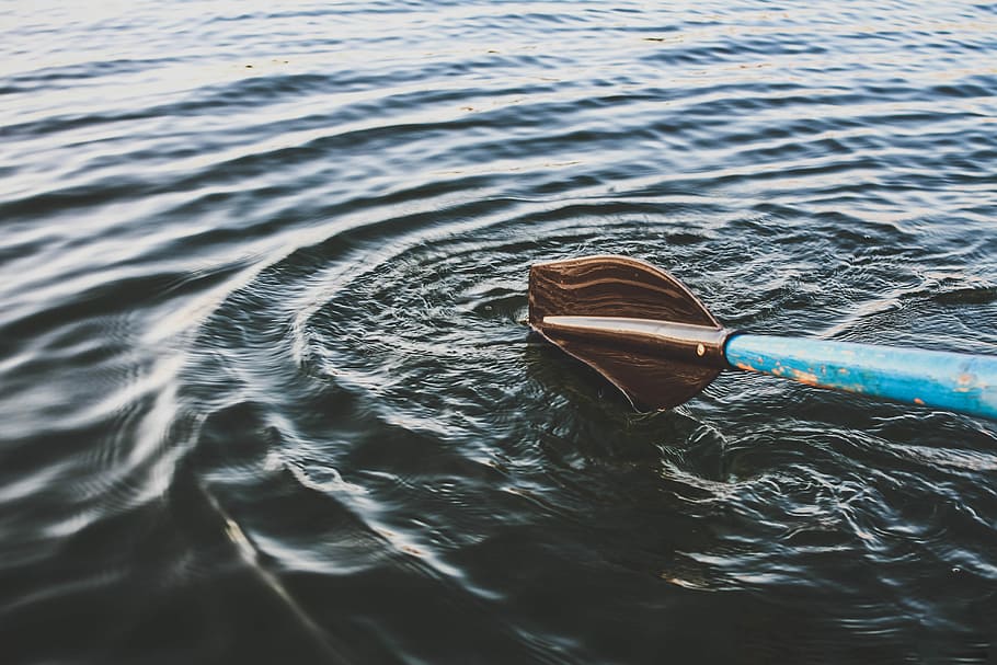 focus photography of blue and brown boat paddle surrounded by body of water, blue and brown boat paddle on body of water HD wallpaper