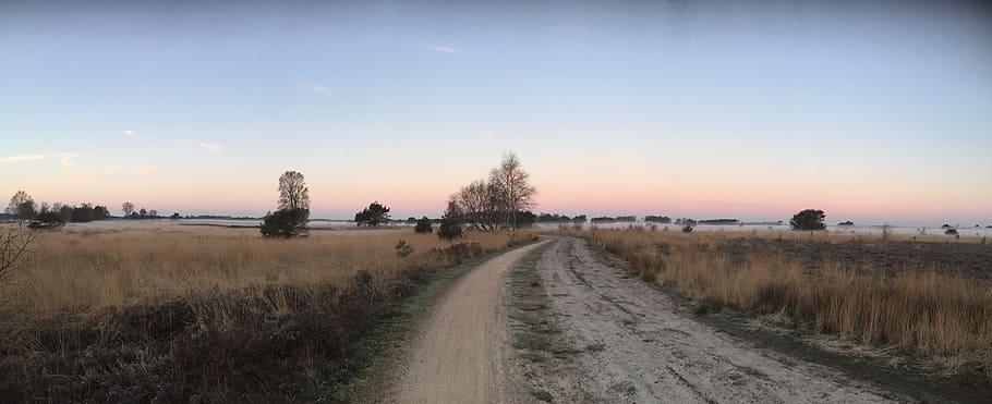 Heide, Nature, Landscape, sunset, field, scenics, tranquil scene HD wallpaper