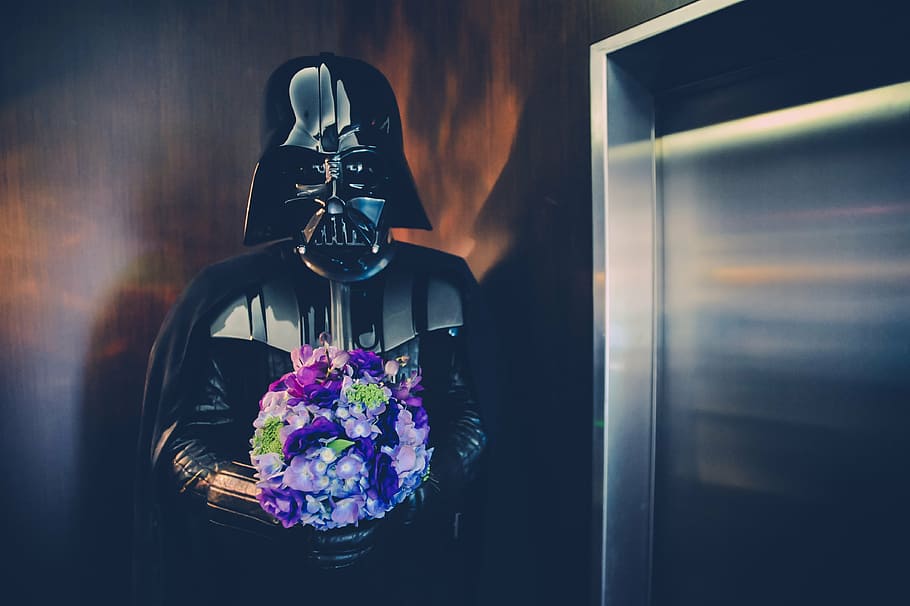Darth Vader holding purple flower bouquet, star wars, soldier HD wallpaper