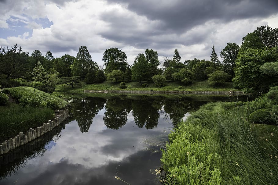 Lake, trees with stormy skies, clouds, illinois, landscape, landscapes, HD wallpaper