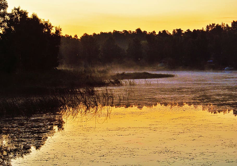 lake, sunrise, sunset, forest, plants, fog, island, beautiful HD wallpaper
