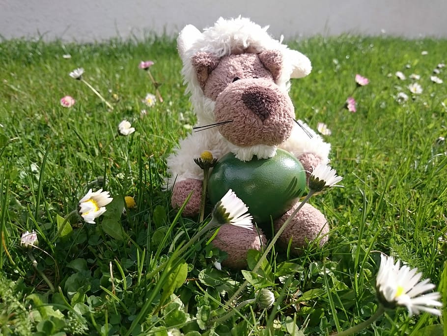 Easter, Spring, Wolf, Sheepskin, happychapi, grass, toy, stuffed toy HD wallpaper