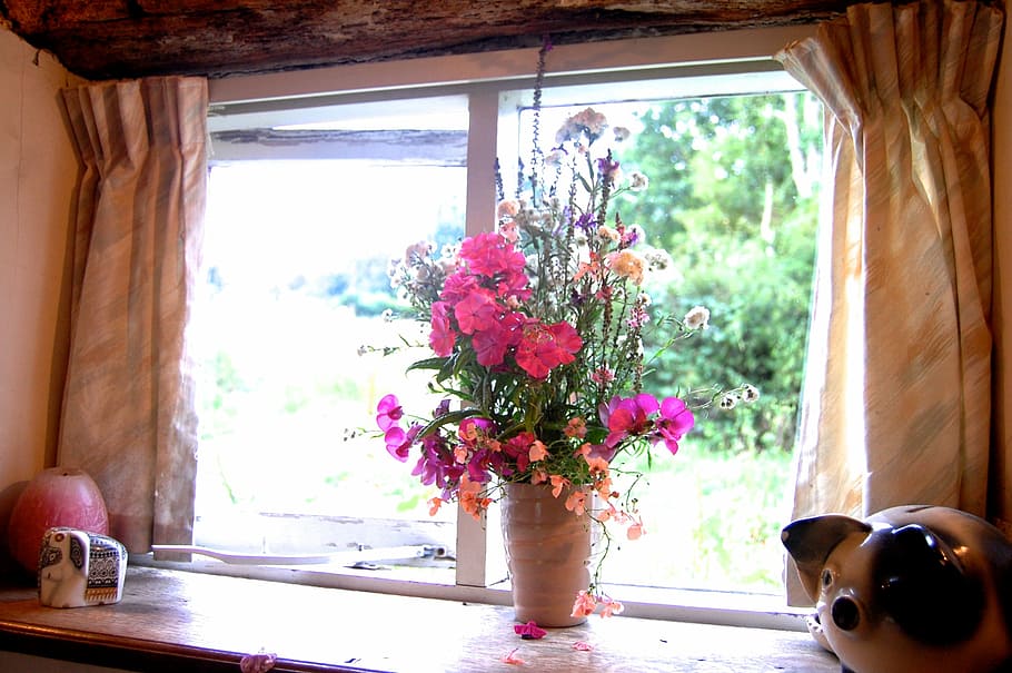 Flowers, Vase, Window, Stable, Blossom, home, indoors, looking through window HD wallpaper