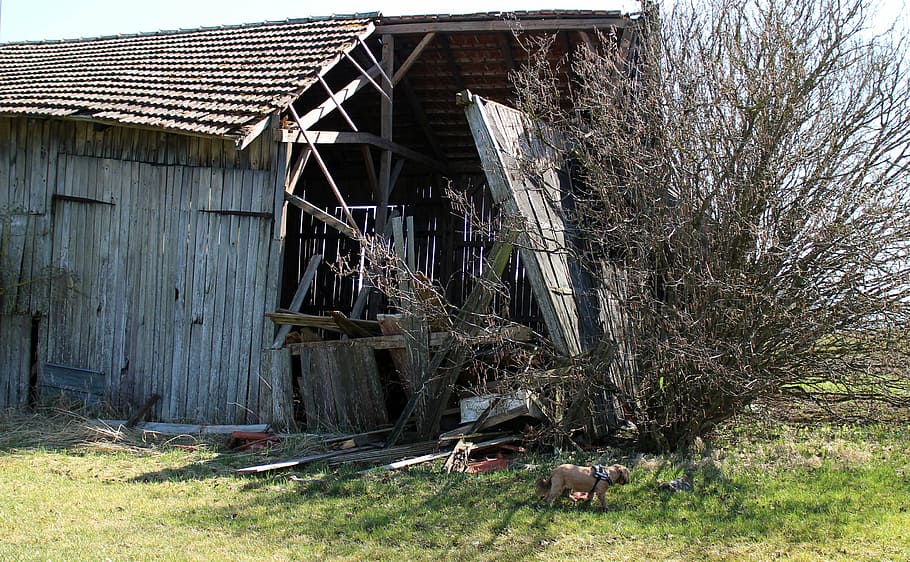 barn, building, lapsed, ruin, leave, dilapidated, wooden construction HD wallpaper