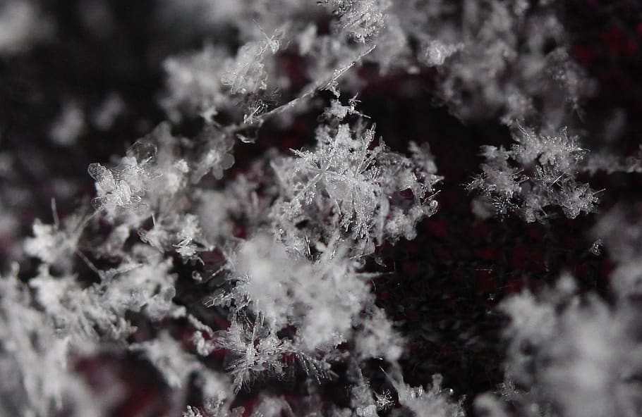 snowflake, winter, white, macro, cold temperature, nature, beauty in nature HD wallpaper