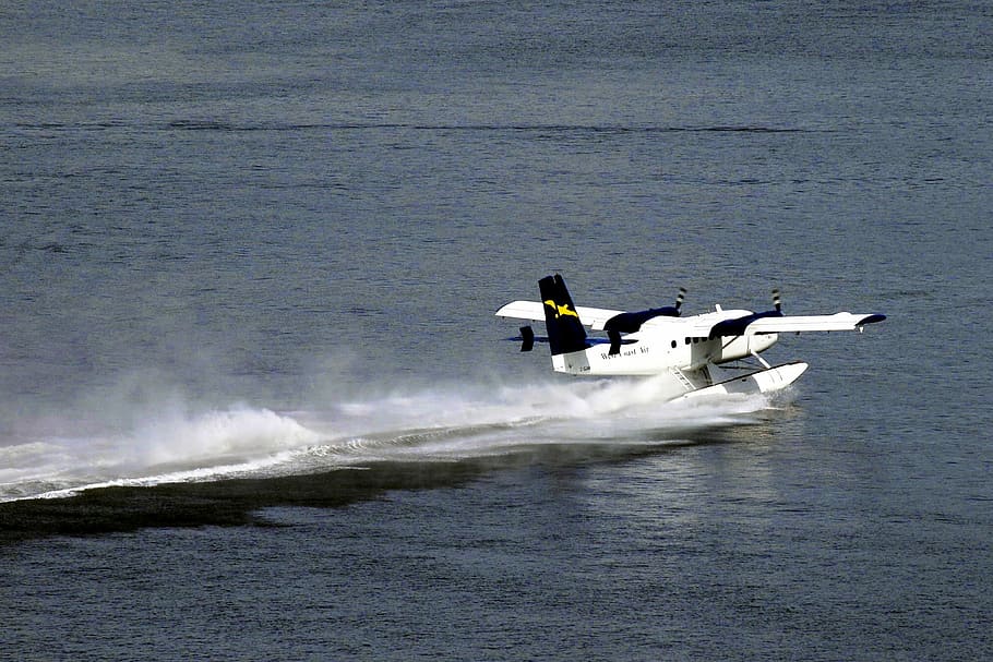 Float Plane, Water, Airplane, transportation, aircraft, flight HD wallpaper