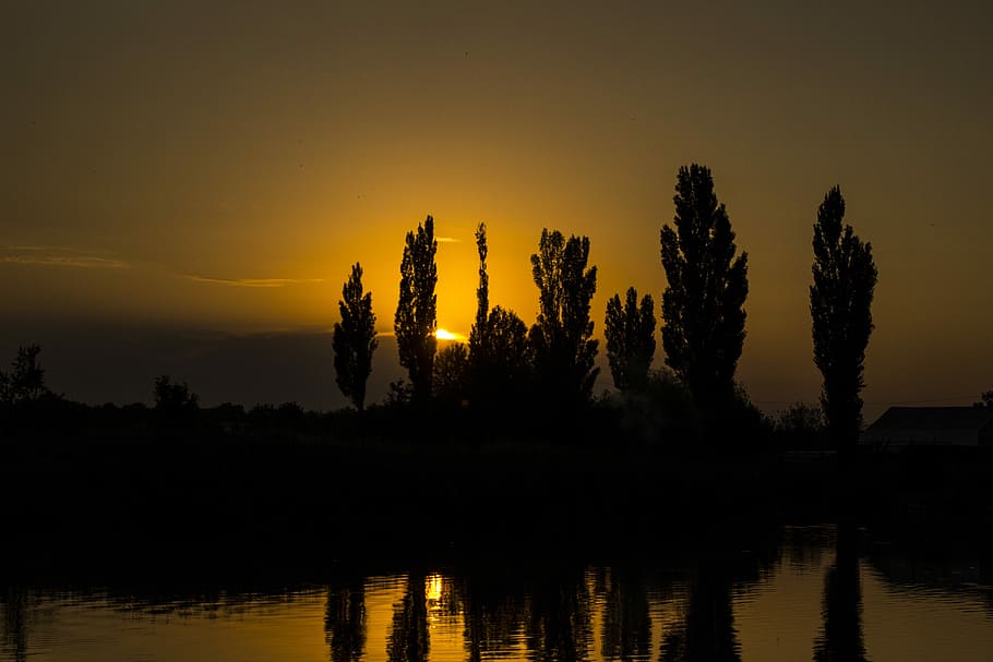 Lake, Reflection, Sunset, Tree, silhouette, evening, landscape HD wallpaper