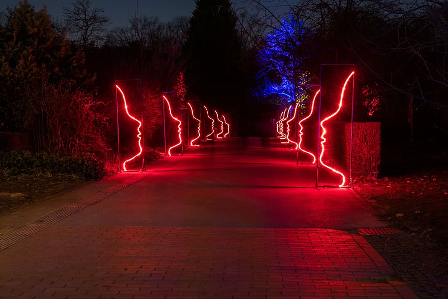 light, illuminated, movement, night, tree, plant, glowing, direction HD wallpaper