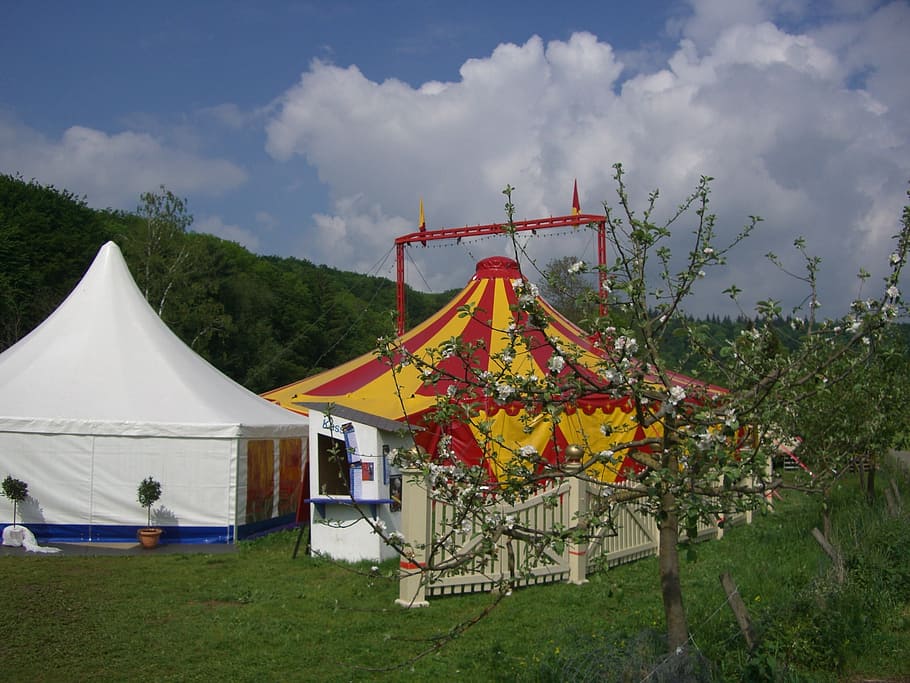 HD wallpaper: circus tent, circus in the green, colorful, yellow, red