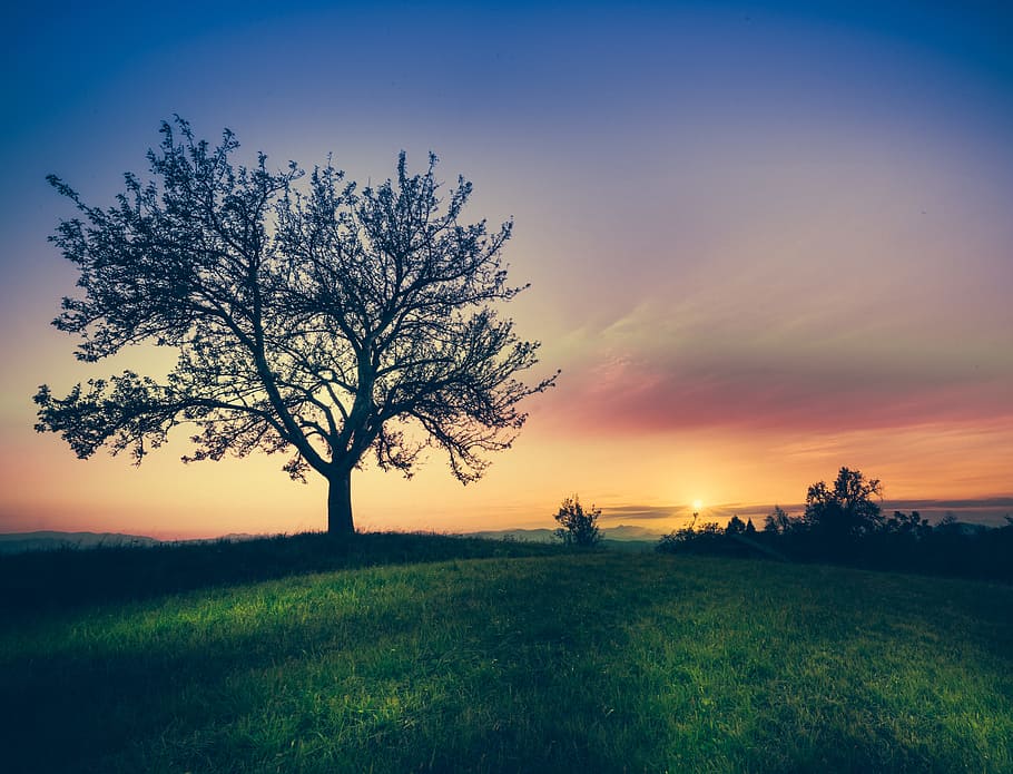dawn, landscape, nature, sky, afterglow, backlit, beautiful, clouds HD wallpaper