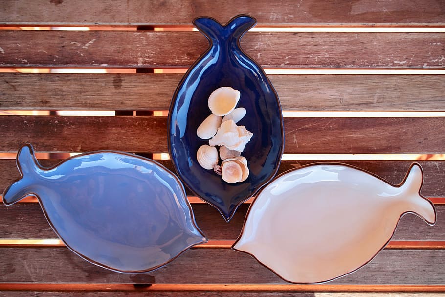 Shells, Blue, Sea, Sea, Fishing, Summer, holiday, marine creatures HD wallpaper