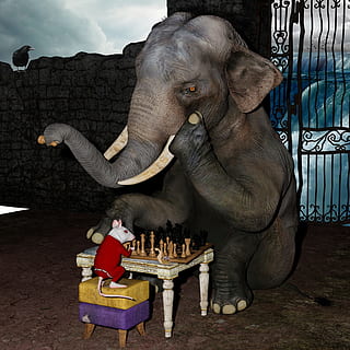 photography of gray elephant playing chess with white mouse HD wallpaper