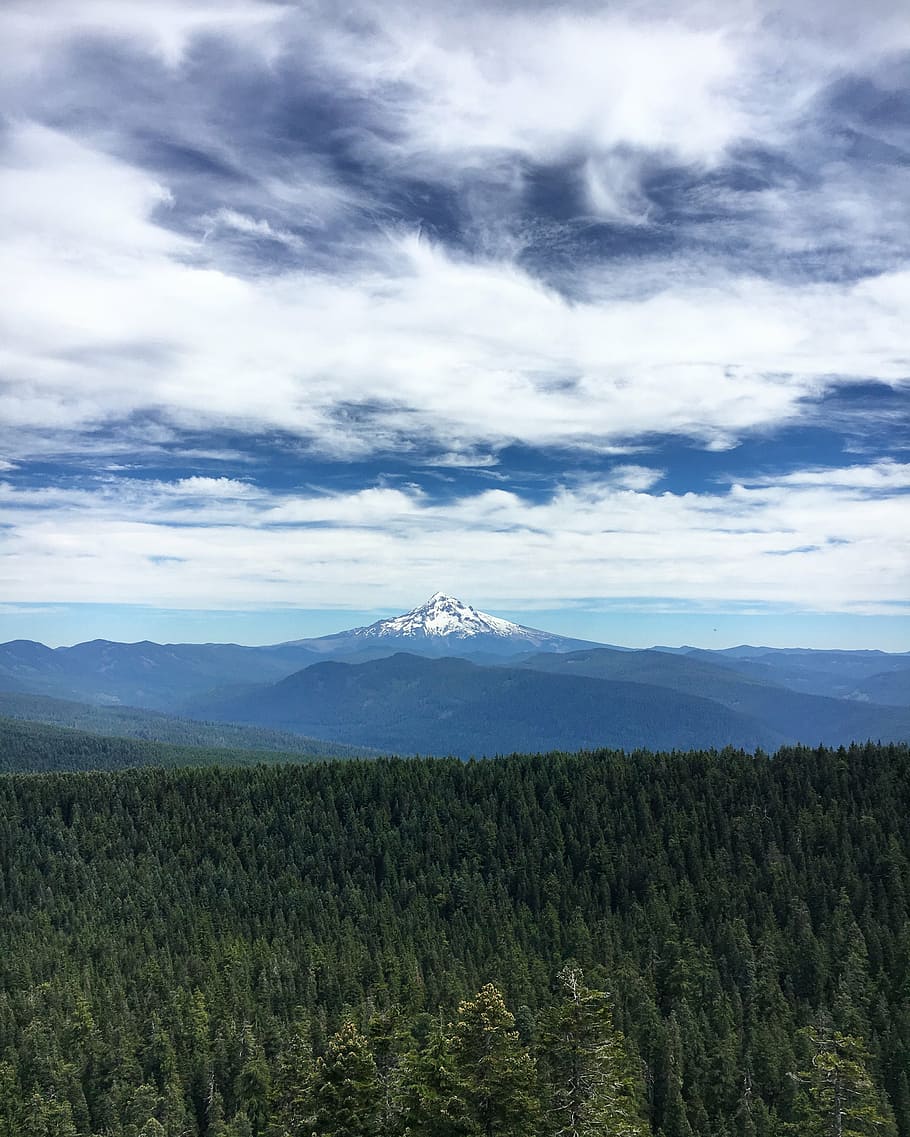 mountain, oregon, forest, mt hood, sherrards point, larch mountain