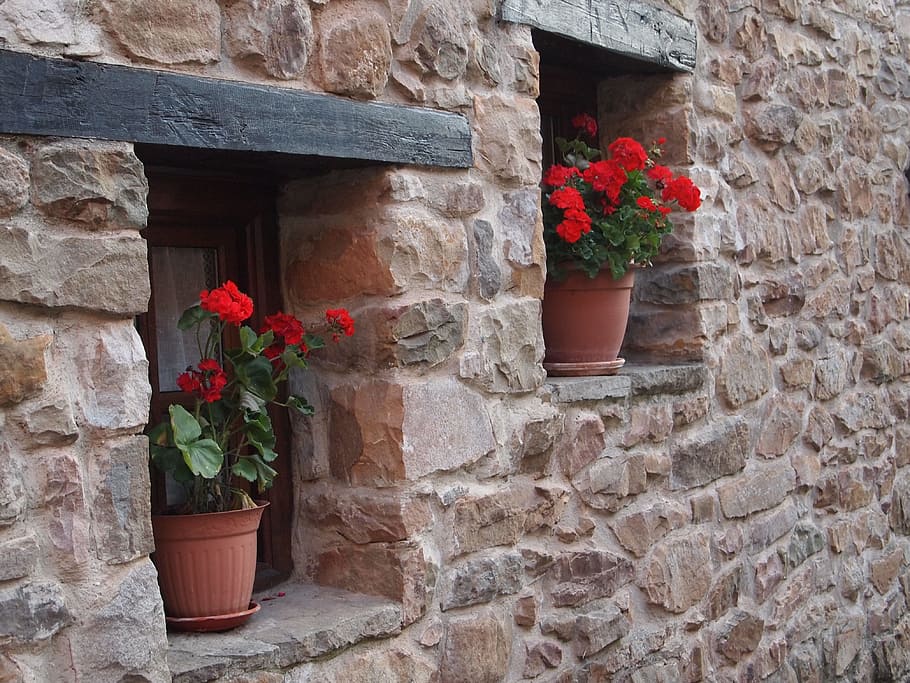Window, Wall, Pots, Flowers, Facade, old window, stone, old building HD wallpaper