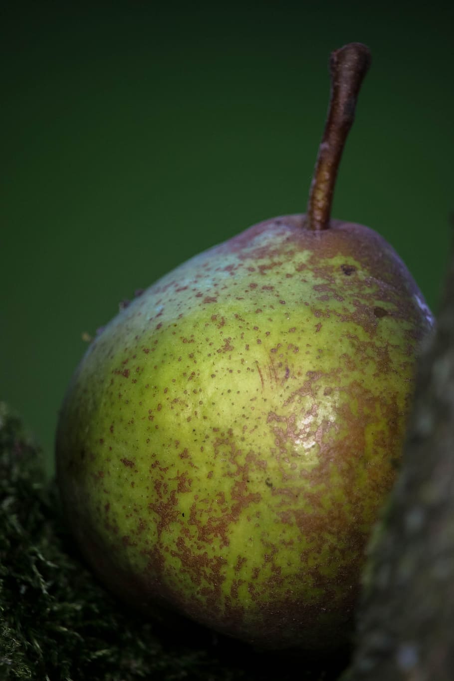 juicy, fruit, peer, food, food and drink, freshness, healthy eating HD wallpaper