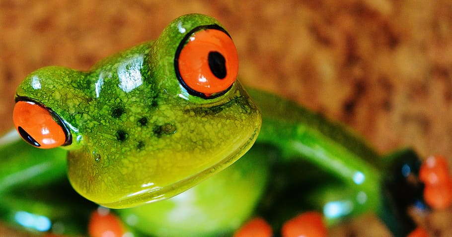 frog, funny, figure, cute, ceramic, frogs, sweet, animal, green HD wallpaper