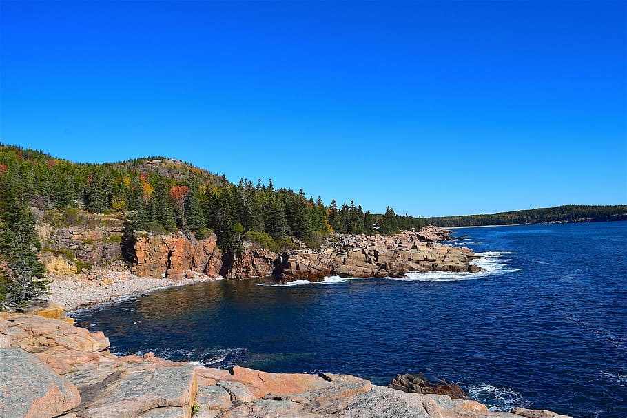 shore, rocks, ocean, pine trees, maine, nature, water, sea HD wallpaper