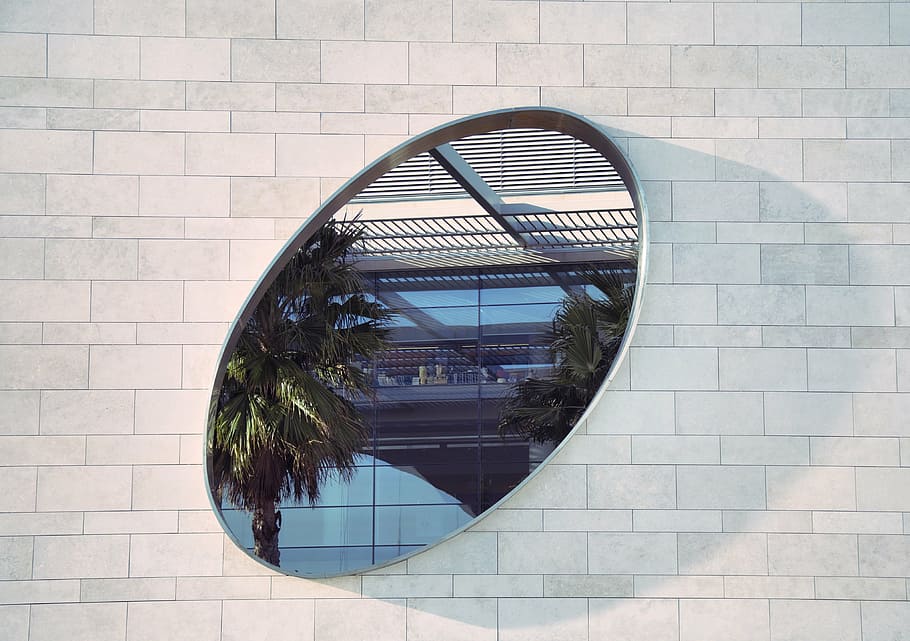 oval glass mirror with gray frame, safety, wall, illusion, palm tree HD wallpaper