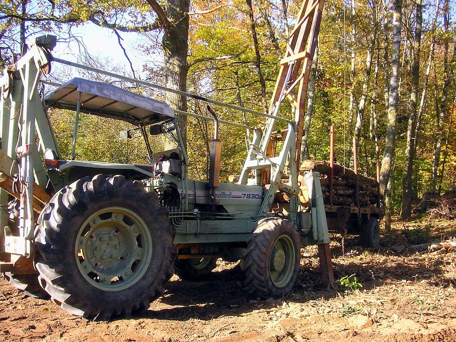 old tractor, logging, timber, forest, wood, clearance, trees HD wallpaper