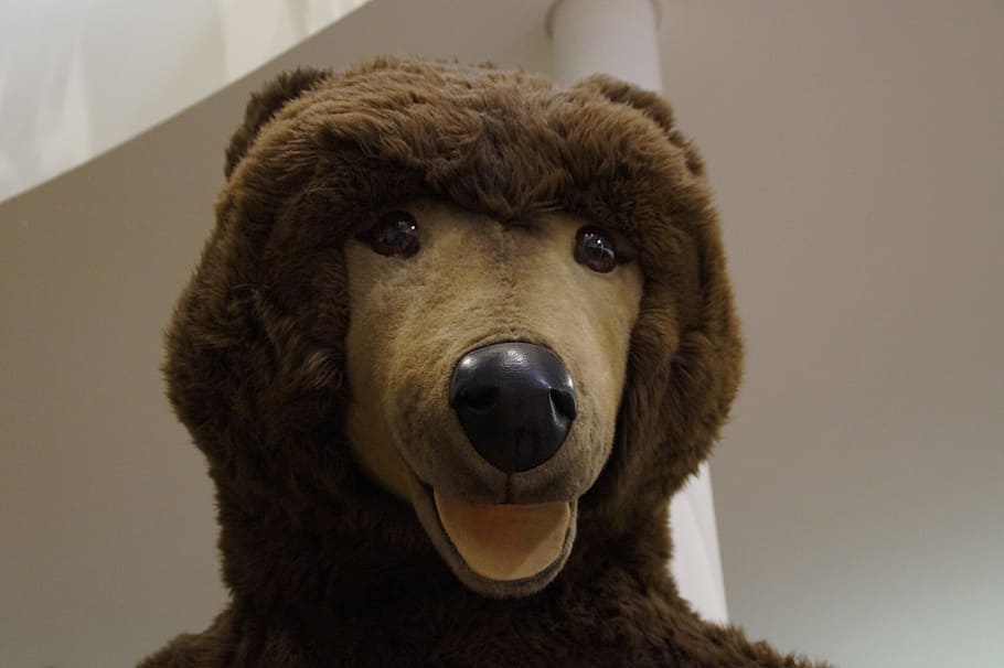 bear, teddy, teddy bear, brown bear, animal, toys, fur, cuddly HD wallpaper