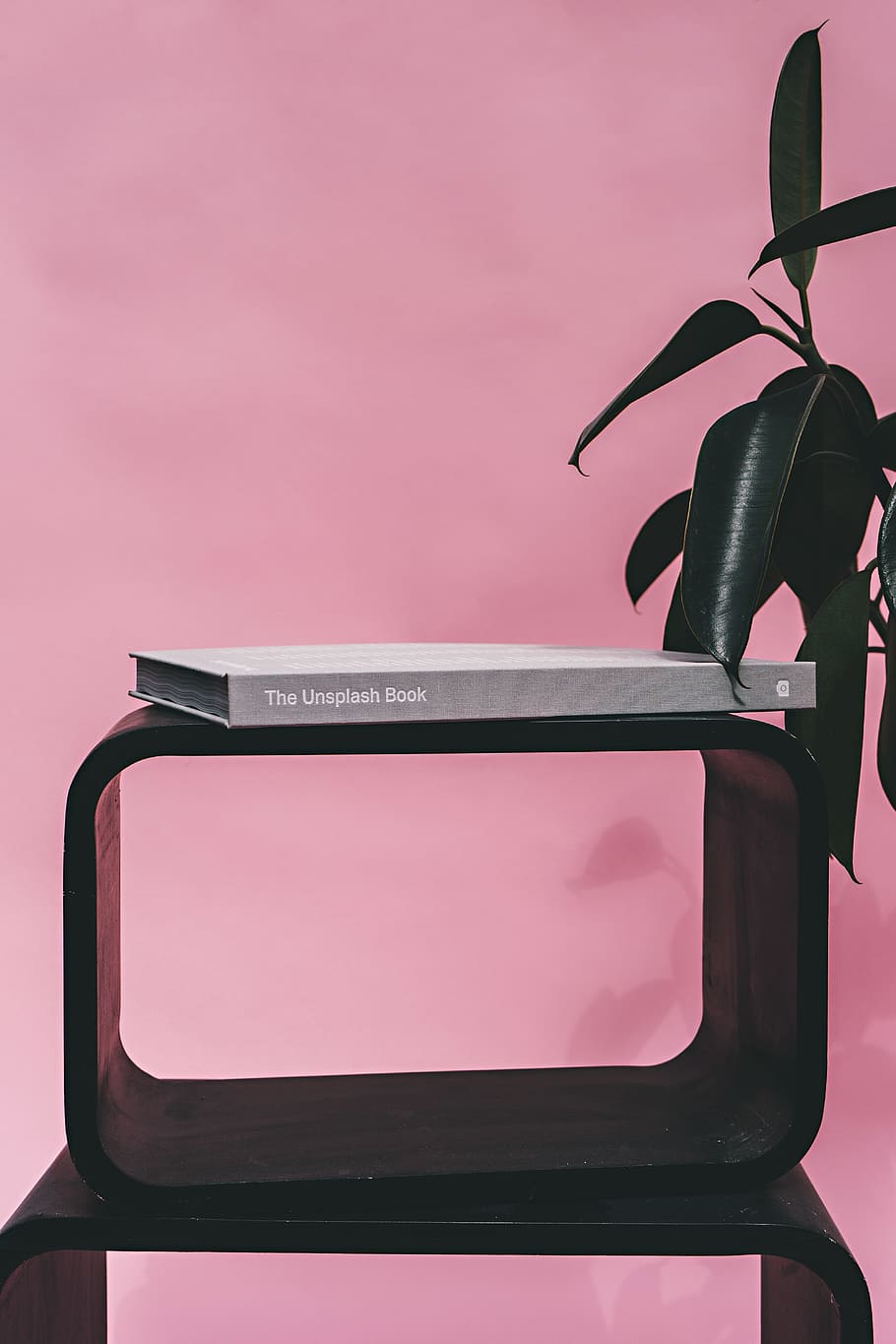 wood, plant, pink, shelf, book, botanical, indoor, interior design HD wallpaper