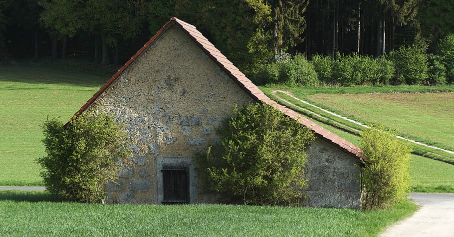 beige house near trees, field barn, fields, hedges, forest HD wallpaper