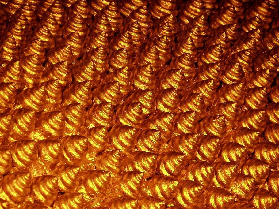 Seashells, Spiral, Painted, Gold, decorated, decoration, marine HD wallpaper