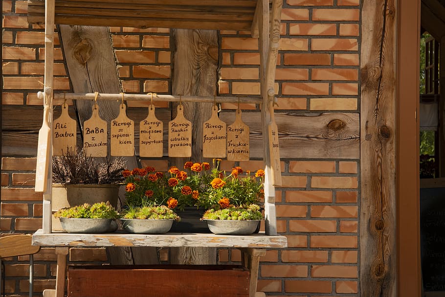 restaurant, dinner, holiday, plant, potted plant, wood - material HD wallpaper