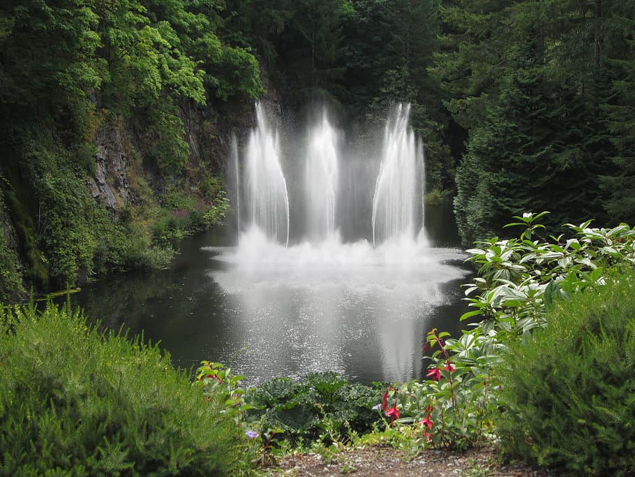 waterfalls surrounded with trees during daytime, butchart garden