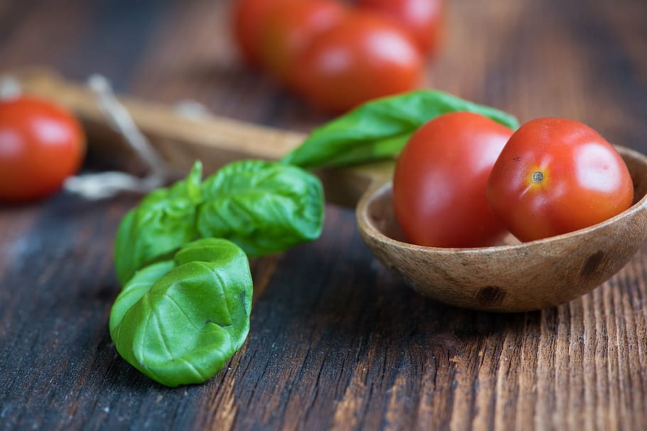 tomatoes, small tomatoes, red, basil, green, spice, herbs, close HD wallpaper