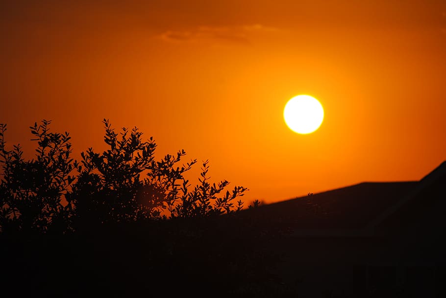 sun, sunset, silhouette, orange, sky, evening, dusk, peaceful HD wallpaper
