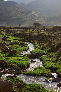 nature, tree, mountain, river, green, mardin, turkey, scenics - nature HD wallpaper