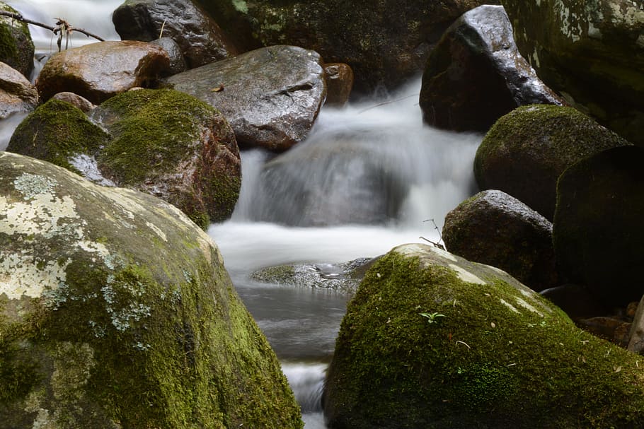 Water, Waterfall, Forest, no people, river, long exposure, outdoors HD wallpaper
