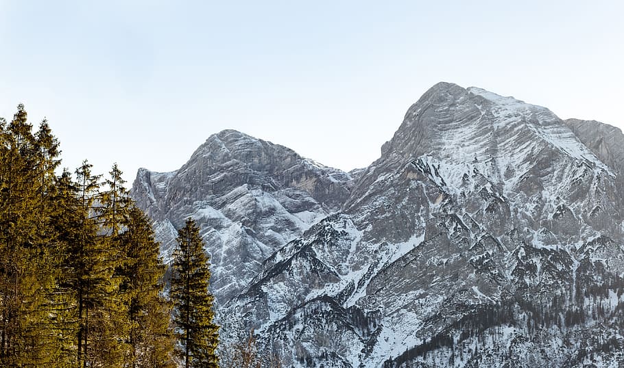 Snowy Mountain, altitude, cold, daylight, forest, high, ice, landscape HD wallpaper