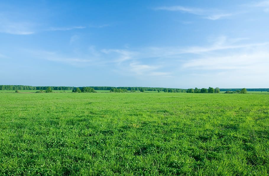 blue, valley, green, grass, landscape, day, green color, plant HD wallpaper