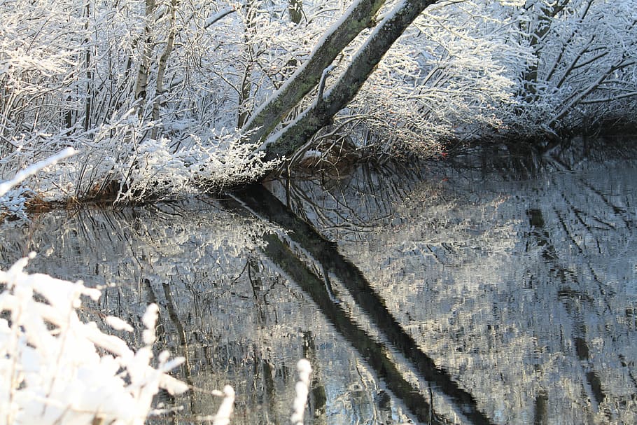 winter, snow, reflection, ice, season, frost, outdoors, cold HD wallpaper