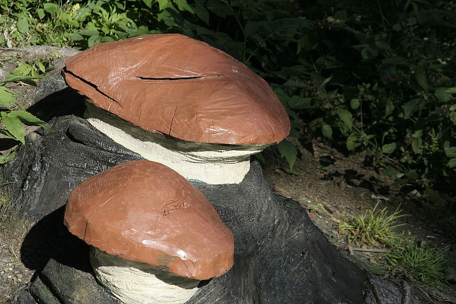 mushrooms, art, dummy, plant, no people, close-up, nature, tree HD wallpaper