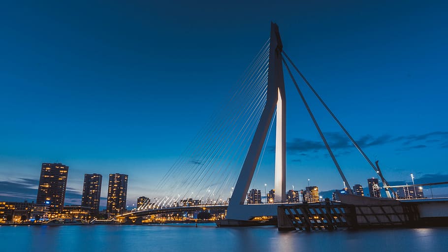 city, night, bridge, architecture, river, suspension bridge HD wallpaper