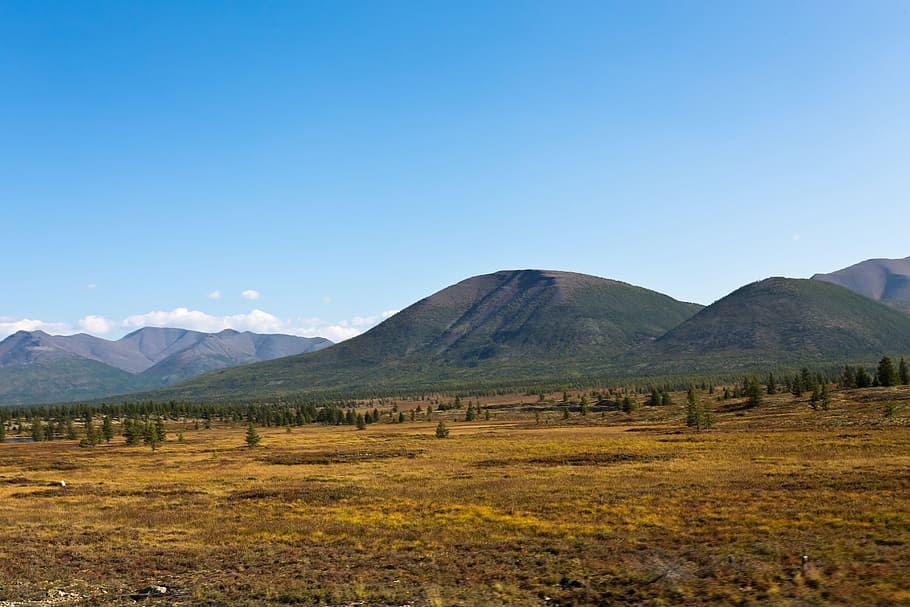 autumn, grass, withered, mountain, far away, sky, scenics - nature HD wallpaper