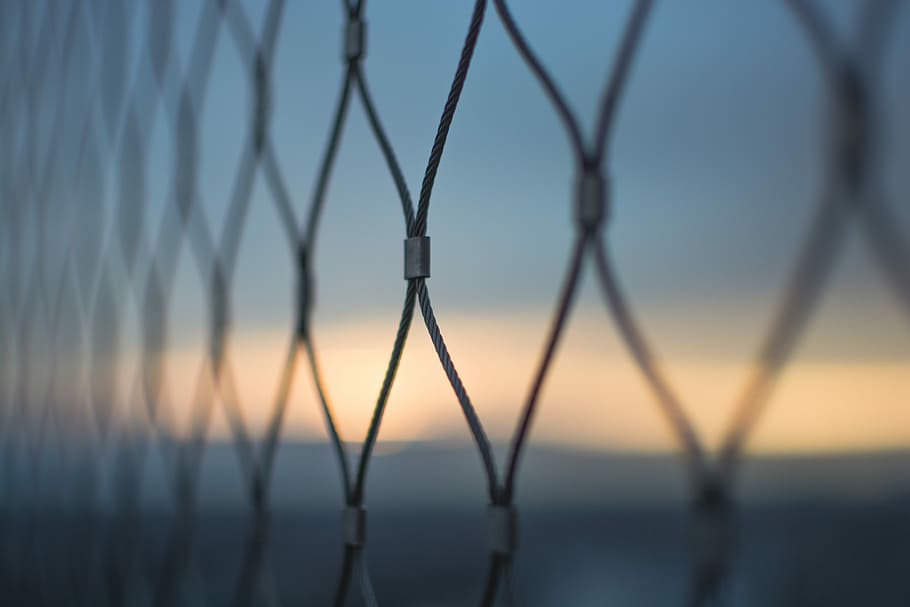 shallow focus photography of cyclone fence, close up photo of wired fence HD wallpaper