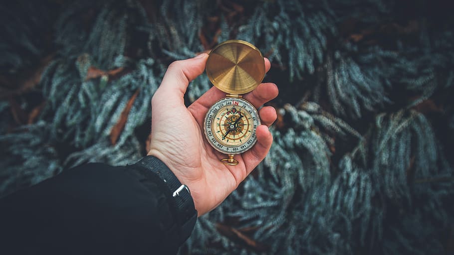 person holding brass-colored compass, person with black strap watch holding gold-colored direction compass HD wallpaper