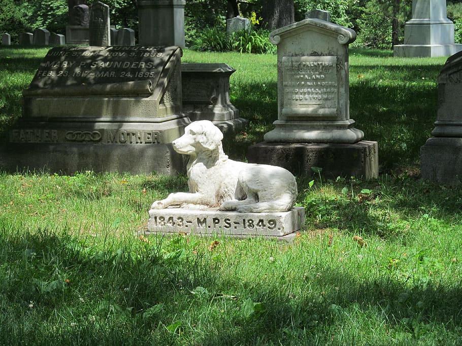 graveyard, cemetery, pet, statue, tombstone, plant, grass, no people HD wallpaper